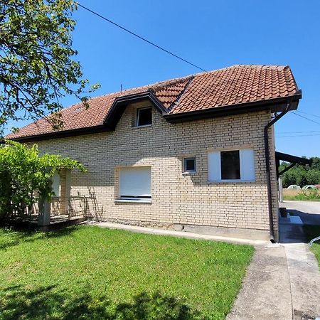 Apartman Progresso Валево Екстер'єр фото